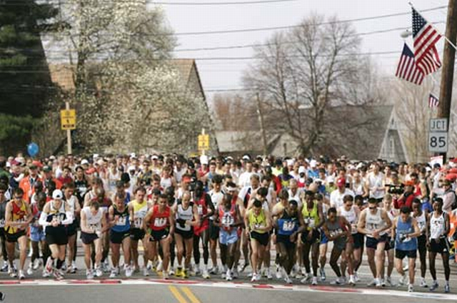 The Starting Line - See If You Can Spot Frank