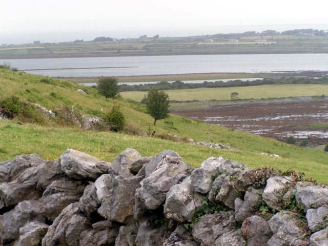 The Fields of Galway